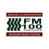 FM-100